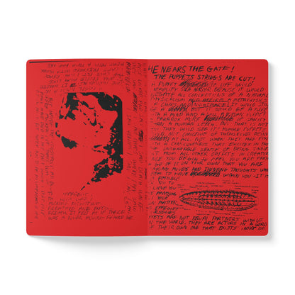 Red book cover with black text and a silhouette of a person on a white background